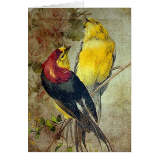 Birds Cards (Front)
