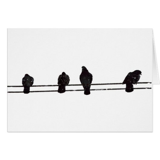 Birds Cards (Front Horizontal)