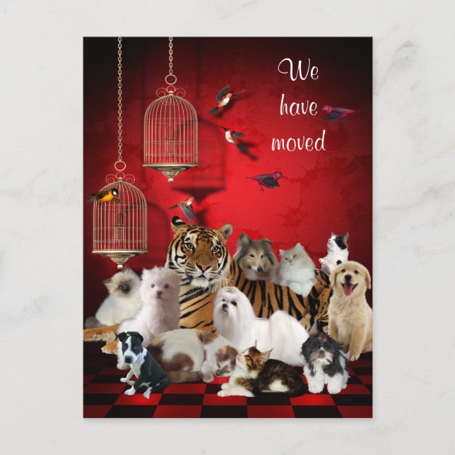 Birds & Cats and Cages Red, We moved Postcard (Front)
