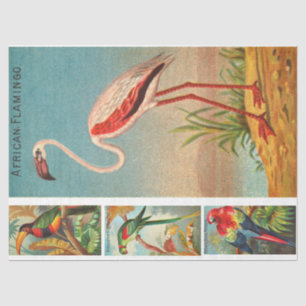 Birds Collection Flamingo 2c Vintage Decoupage Tissue Paper