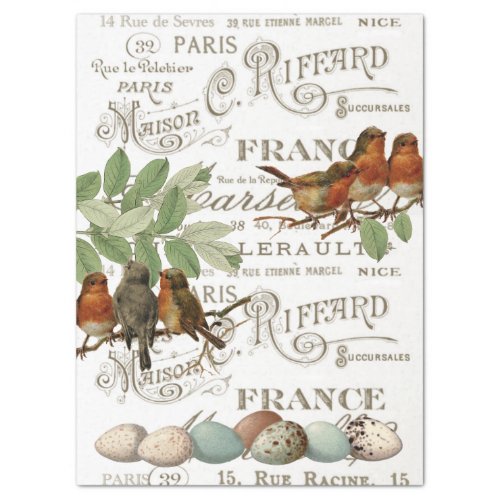 Birds Eggs Vintage French City Name Leaf Decoupage Tissue Paper