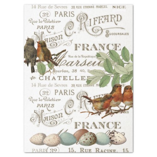 Birds Eggs Vintage French City Name Leaf Decoupage Tissue Paper