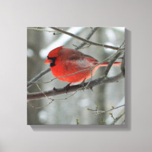 Bird's Eye View (Cardinal)Square Wrapped Canvas Print
