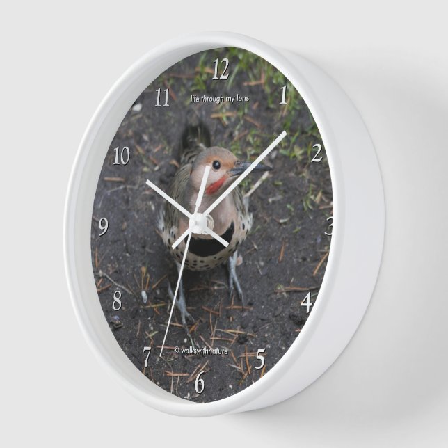 Bird's Eye View of Northern Flicker Woodpecker Clock (Angle)