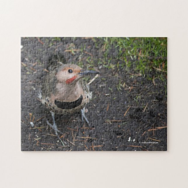 Bird's Eye View of Northern Flicker Woodpecker Jigsaw Puzzle (Horizontal)