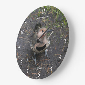 Bird's Eye View of Northern Flicker Woodpecker Large Clock