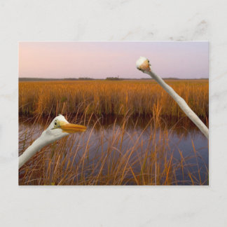 "Birds Eye View" - postcard