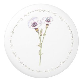 Bird's Eyes Gilia watercolor  Ceramic Knob