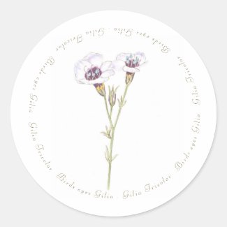 Bird's Eyes Gilia watercolor  Classic Round Sticker