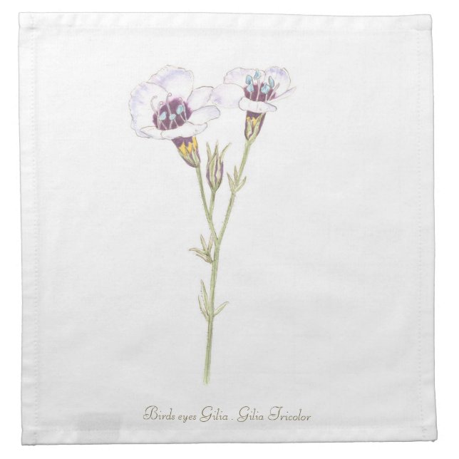 Bird's Eyes Gilia watercolor  Cloth Napkin (Front)