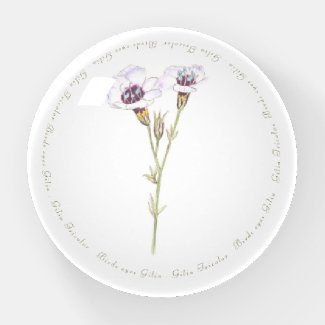Bird's Eyes Gilia watercolor Paperweight