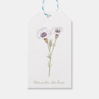 Bird's Eyes Gilia watercolor Wooden Box Sign Gift Tags