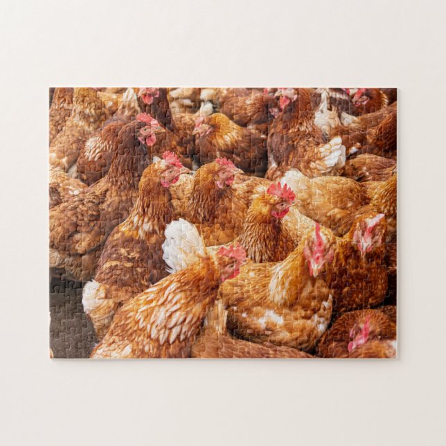 birds farm  jigsaw puzzle (Horizontal)