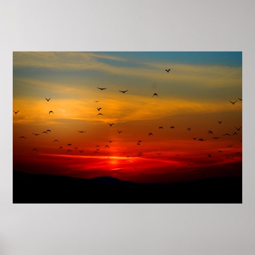 Birds Fly Into Sunset Extra Large Poster
