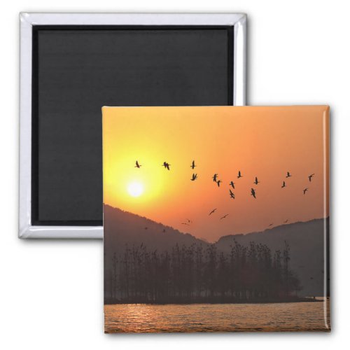 Birds Flying in Sunset Sky Over East Lake Photo Magnet