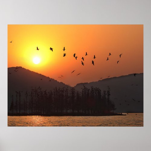Birds Flying in Sunset Sky Over East Lake Poster