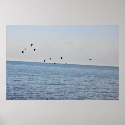 Birds Flying over Ocean Poster