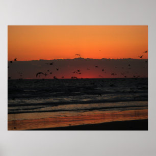 Birds Flying Over Ocean Sunrise Poster