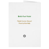 Bird's-Foot Violet Cards (Back)