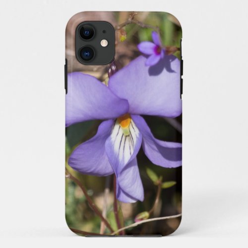 Birds_Foot Violet w Bluets iPhone 11 Case