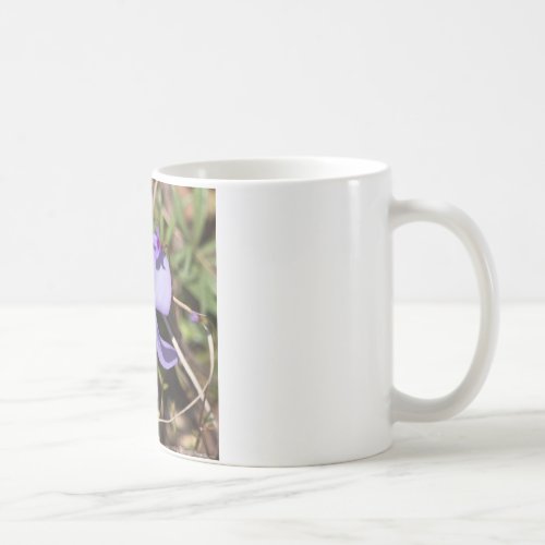 Birds_Foot Violet w Bluets Coffee Mug