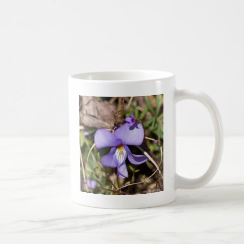 Birds_Foot Violet w Bluets Coffee Mug