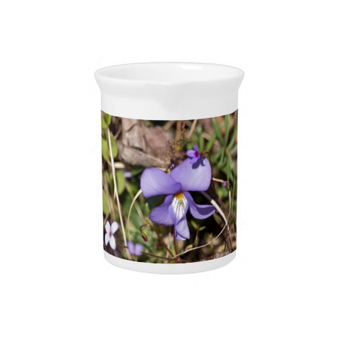 Birds_Foot Violet w Bluets Drink Pitcher