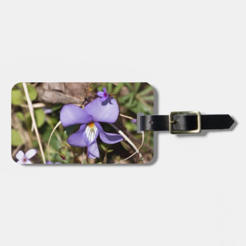 Birds_Foot Violet w Bluets Luggage Tag