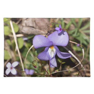 Birds-Foot Violet w/ Bluets Placemat