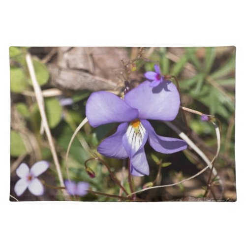 Birds_Foot Violet w Bluets Placemat