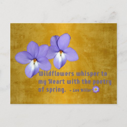 Birds Foot Violets Wildflowers Quote Postcard