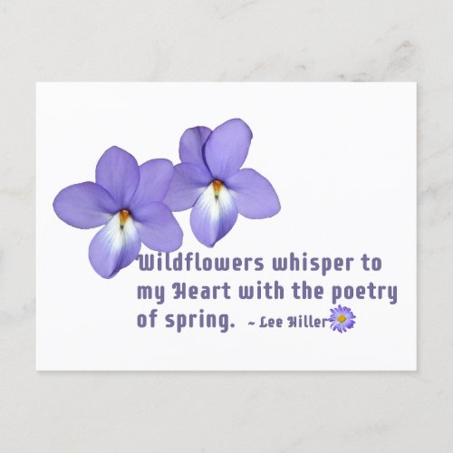 Birds Foot Violets Wildflowers Quote Postcard