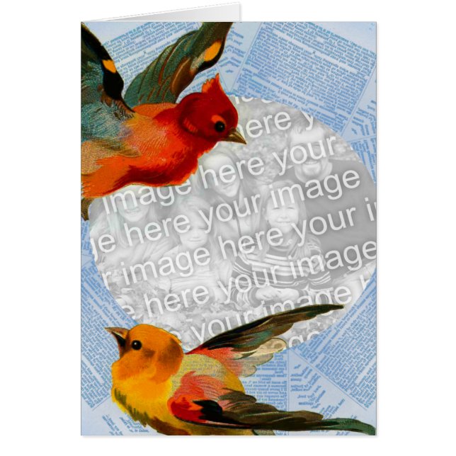 Birds Frame, Your Own Photos And Text Customizable Cards (Front)