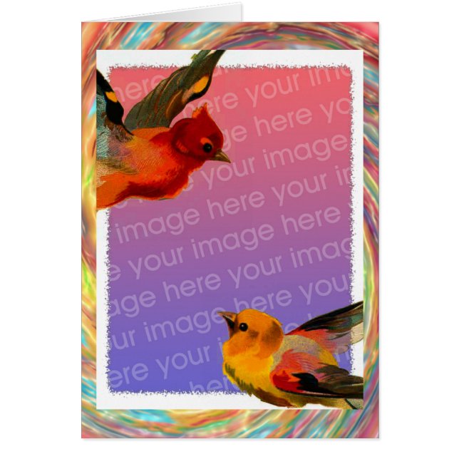 Birds Frame Your Photo Birthday Cards (Front)