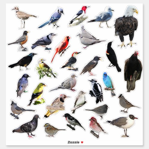 Birds Galore Sticker