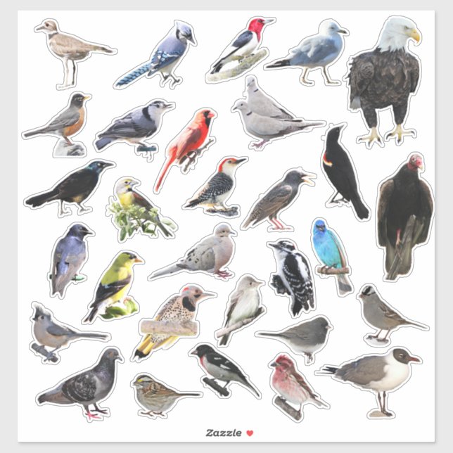 Birds Galore Sticker (Sheet)