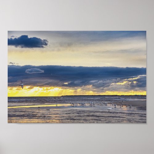 Birds Gather on a Florida Beach at Sunrise Poster