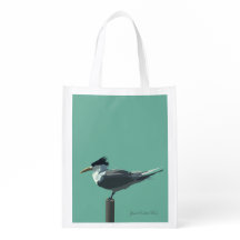 Birds -- Great Crested Tern
