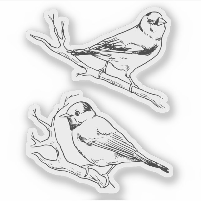 Birds hand drawn black & white Modern natural Sticker (Front)