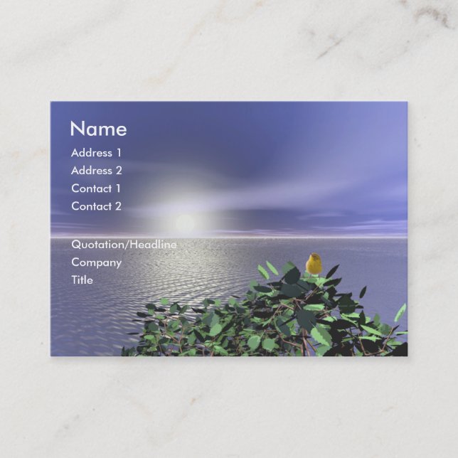 Bird's High View Business Card (Front)