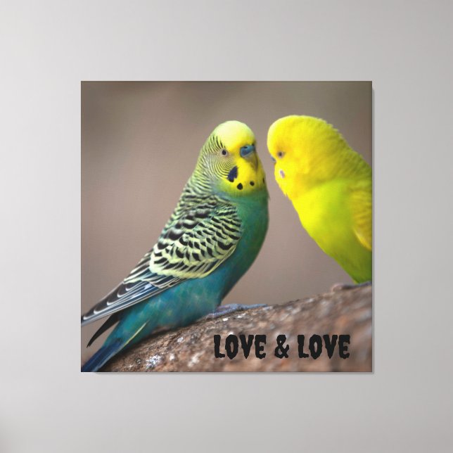 Birds image Custom Love and Love Text Stretched  Canvas Print (Front)