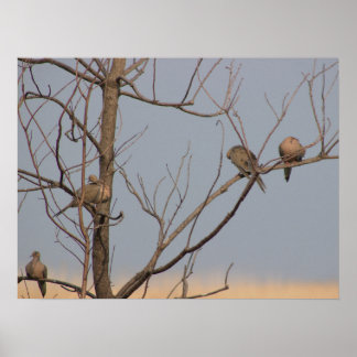Birds in a Tree Poster