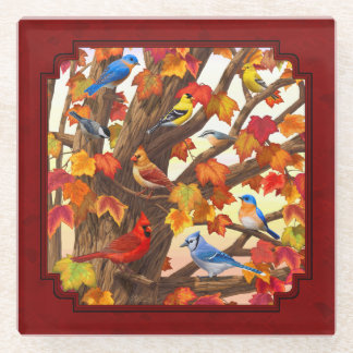 Birds in Autumn Maple Tree Red Glass Coaster