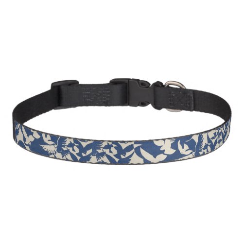 Birds in blue and white pet collar