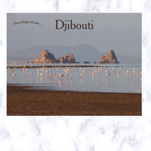 Birds in Djibouti Postcard