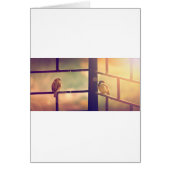 Birds in evening sun (Front)