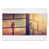 Birds in evening sun (Front Horizontal)