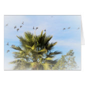 Birds In Flight (Front Horizontal)