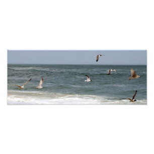 Birds In Flight by Shirley Taylor Photo Print