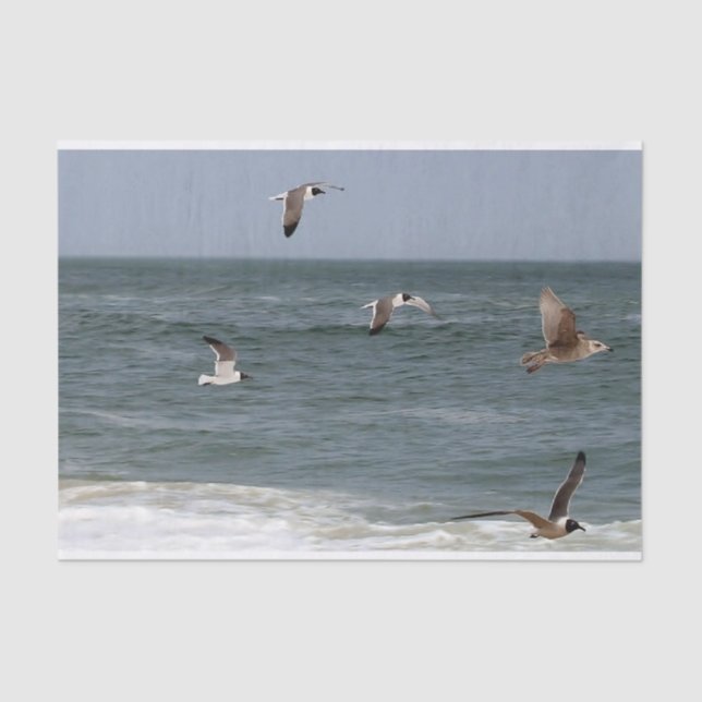 Birds In Flight by Shirley Taylor Tissue Paper (Front)